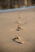  Footprints, Fuerteventura, Spain 