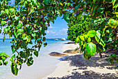  Starnd and landscape views of an island near Bintan, Indonesia 