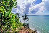 Küstenlandschaft beim Four Mile Beach, Port Douglas, Korallenmeer, Queensland, Australien