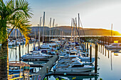  The harbor of Airlie Beach, a city on the east coast of Australia in the state of Queensland 