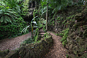 Weg, Botanischer Garten von Antonio Borges in Ponta Delgada, Sao Miguel, Azoren