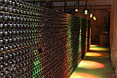 Keller der Weinkellerei Maison Guinot mit Weinregal des Sekts 'Blanquette de Limoux',  Limoux, Nähe Carcassonne, Département Aude, Okzitanien, Frankreich