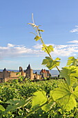  Medieval city walls of the Cité de Carcassonne, Aude department, Occitanie, France 