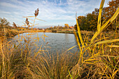 Badeweiher bei Reusch, Weigenheim, Neustadt an der Aisch, Unterfranken, Franken, Bayern, Deutschland, Europa