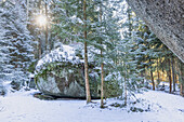  Winter in the Great Labyrinth, Luisenburg, Wunsiedel, Fichtelgebirge, Upper Franconia, Franconia, Bavaria, Germany, Europe 