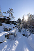  The Burgstein in the Fichtelgebirge in winter, Luisenburg, Bad Alexanderbad, Wunsiedel, Upper Franconia, Franconia, Bavaria, Germany, Europe 