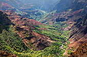  Waimea Canyon, Kauai, Hawaii 