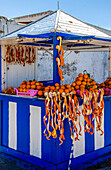 Verkaufsstand mit Orangen am Hafen von Essaouira, Marokko