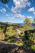 Tramuntana-Gebirge in der Nähe von Banyalbufar, Serra de Tramuntana, Mallorca, Balearen, Mittelmeer, Spanien