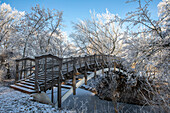  Winter in the Rotehorn city park, Magdeburg, Saxony-Anhalt, Germany 