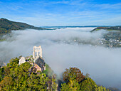  Aerial view of the Grevenburg ruins near Traben-Trarbach in the morning mist, Moselle, Moselle valley, Hunsrück, Rhineland-Palatinate, Germany 