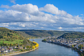 Blick auf Bacharach mit dem Rhein, Rheintal, Rheinland-Pfalz, Deutschland
