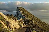 Fahrstraße im Upper Rock Nature Reserve mit Blick auf den Skywalk und den Felsen von Gibraltar im Abendlicht, Britische Kronkolonie, Iberische Halbinsel