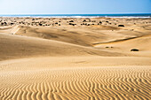 Dünenlandschaft am Atlantik, Strand 'Plage blanche', Sahara, Guelmim-Es Semara, Marokko, Nordafrika