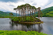 Großbritannien, Schottland, West Highlands, See Loch Ailt, Blick zur Insel Eilean na Moine