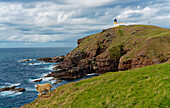  Great Britain, Scotland, West Highlands, Stoer Lighthouse 