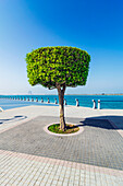 Uferpromenade in der Bucht, Abu Dhabi, Vereinigte Arabische Emirate, Arabische Halbinsel, Persischer Golf