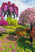 Blumenskulpturen, Petunienbäumchen und bunte Beete, Der Blumenpark 'Miracle Garden', Dubai, Vereinigte Arabische Emirate, Arabische Halbinsel, Naher Osten