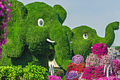 Elefantenskulpturen aus Gras, Der Blumenpark 'Miracle Garden', Dubai, Vereinigte Arabische Emirate, Arabische Halbinsel, Naher Osten