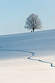 verschneite Landschaft, St Peter, Schwarzwald, Baden-Württemberg, Deutschland