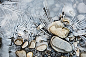  Pebbles and ice crystals, Lake Starnberg, Fünfseenland, Pfaffenwinkel, Upper Bavaria, Bavaria, Germany 