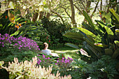Frau auf Gartenbank vorne Geranium Maderense, der Madeira-Storchschnabel, Jardines Palheiro, Madeira, Portugal, Europa