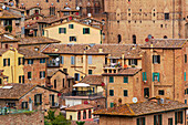  Roofscape in Siena, Tuscany, Italy 