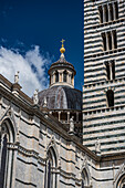 Cathedral, Siena, Tuscany Region, Italy, Europe 