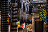Säulen im Dom Cattedrale Metropolitana di Santa Maria Assunta, Siena, Region Toskana, Italien, Europa