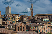  View of the old town and the Torre Del Mangia tower, Siena, Tuscany region, Italy, Europe 