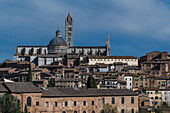 Blick auf Altstadt, Dom mit Turm, Siena, Region Toskana, Italien, Europa