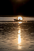 Motorboot im Gegenlicht bei Sonnenaufgang, Pella, Westufer des Ortasees, Ortasee Lago d’Orta, Provinz Novara, Region Piemont, Italien