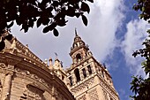 Der Kirchturm Giralda, Kathedrale Santa María de la Sede, Sevilla, Andalusien, Spanien
