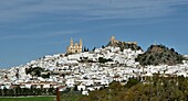 Blick auf Ort und Iglesia Mayor de Olvera, an der Straße der weißen Dörfer 'Pueblos Blancos', Olvera, Provinz Cádiz, Andalusien, Spanien