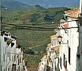 Häuserzeile steil am Hang, an der Straße der weißen Dörfer 'Pueblos Blancos', Olvera, Provinz Cádiz, Andalusien, Spanien