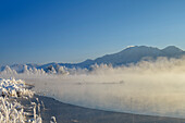 Nebelstimmung über winterlichem Kochelsee mit Herzogstand im Hintergrund, Kochelsee, Bayerische Alpen, Oberbayern, Bayern, Deutschland