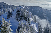  View from the Laber summit to winter forest, Laber, Ammergau Alps, Upper Bavaria, Bavaria, Germany  