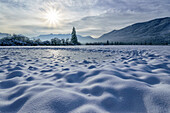  Snow-covered meadows in the Murnauer Moos, Murnau, Upper Bavaria, Bavaria, Germany  