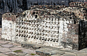 Wand aus Steinschädeln namens Tzompantli, archäologische Stätte und Museum des Templo Mayor, Mexiko-Stadt, Mexiko
