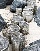  Weathered wooden planks in the sand on the Baltic Sea beach, Hohenfelde, Baltic Sea, Schleswig-Holstein, Germany 