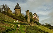  Hikers on the town wall trail in Bacharach, Stahleck Castle in the background, Upper Middle Rhine Valley, Rhineland-Palatinate, Germany 