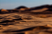  Africa, Morocco, Zagora, Sahara, Erg Lehoudi, sand in the wind 