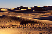  Africa, Morocco, Zagora, Sahara, Erg Lehoudi, sand dunes 