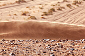  Africa, Morocco, Zagora, Sahara, Erg Lehoudi, sand and wind 