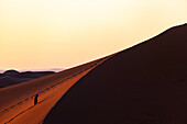  Africa, Morocco, Zagora, Sahara, Erg Lehoudi, Berber runs up dune 
