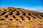  Africa, Morocco, Zagora, Sahara, Erg Lehoudi, sand dune, grasses, beetle tracks 