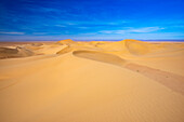  Africa, Morocco, Zagora, Sahara, Erg Lehoudi, sand dunes 