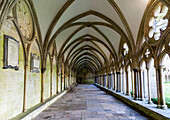 Arched vaulted ceiling roof of cloisters at Salisbury cathedral, Wiltshire, England, UK