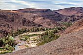  North Africa, Morocco, Ouarzazate Province, Fint Oasis, 