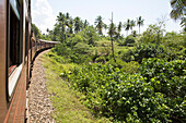 Eisenbahn, Zug durch die Landschaft zwischen Galle und Mirissa, Sri Lanka, Asien